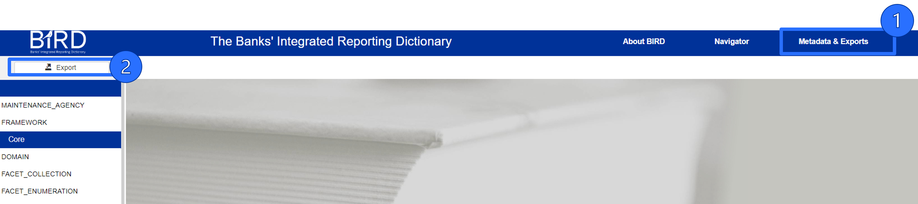 BIRD_exports